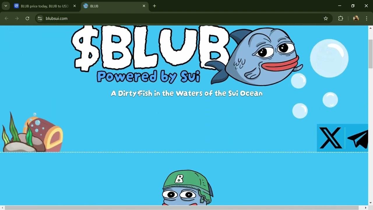 BLUB Coin: Sui Blok Zincirinde Yükselen Meme Coin