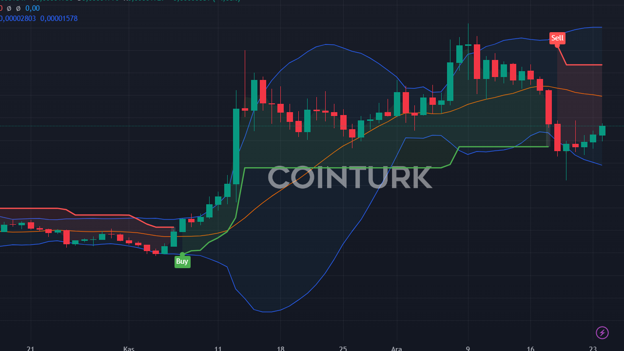 2025 Altcoin Tahminleri: Solana, Shiba ve PEPE Coin