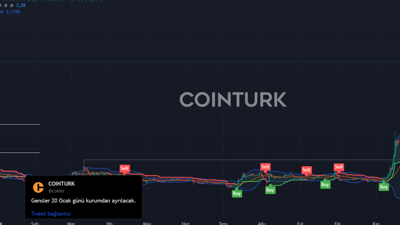 3 Altcoin İçin Aralık 2024 Fiyat Tahminleri