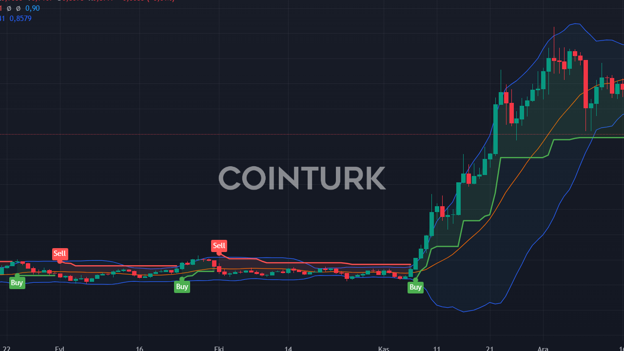 RTF Token, ToTheMoon Borsasında Listelendi