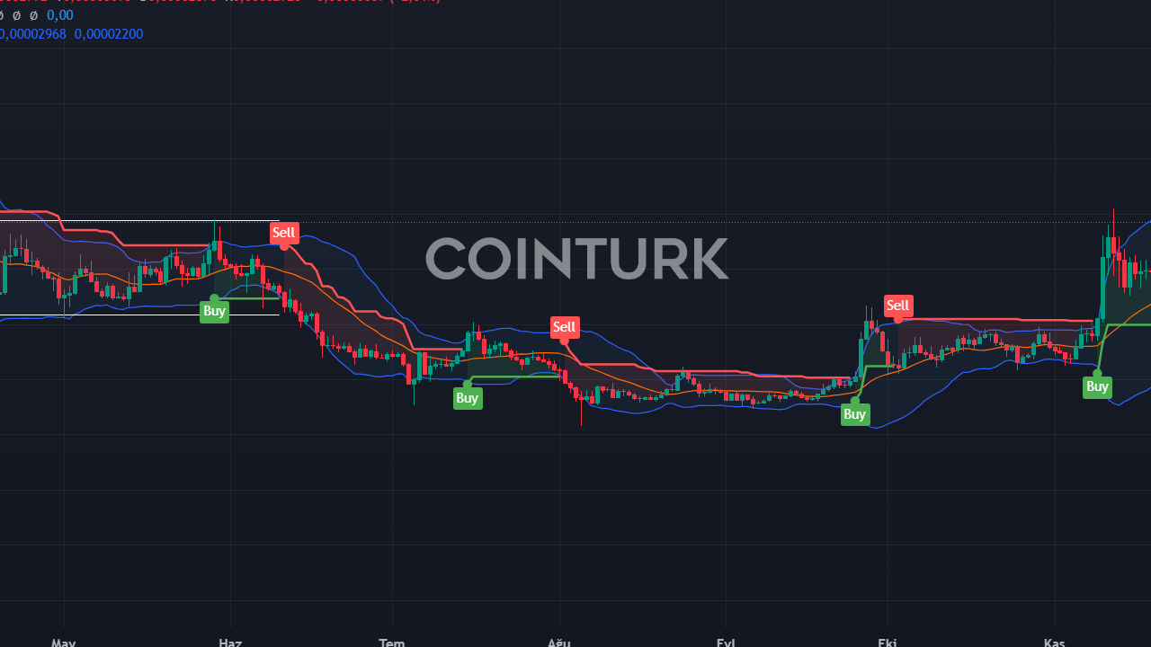 Shiba Coin Ağ Yükseltmesi ve SHIB Fiyat Analizi