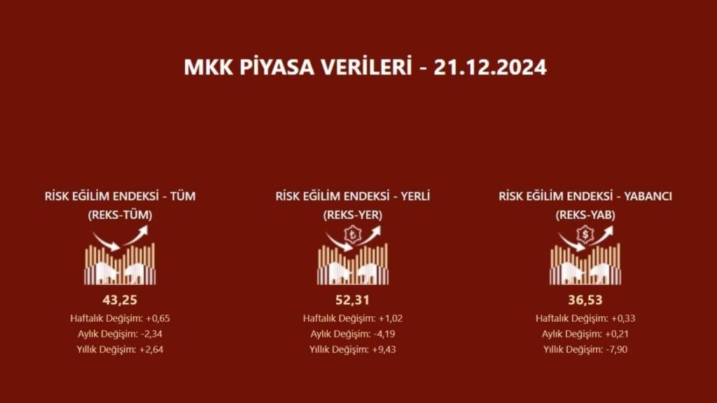 REKS: Yatırımcı Risk İştahı Endeksi Güncellendi (2024)