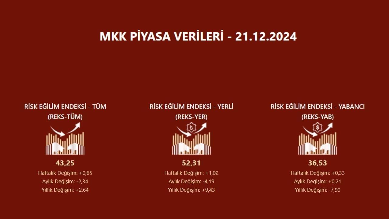 REKS: Yatırımcı Risk İştahı Endeksi Güncellendi (2024)