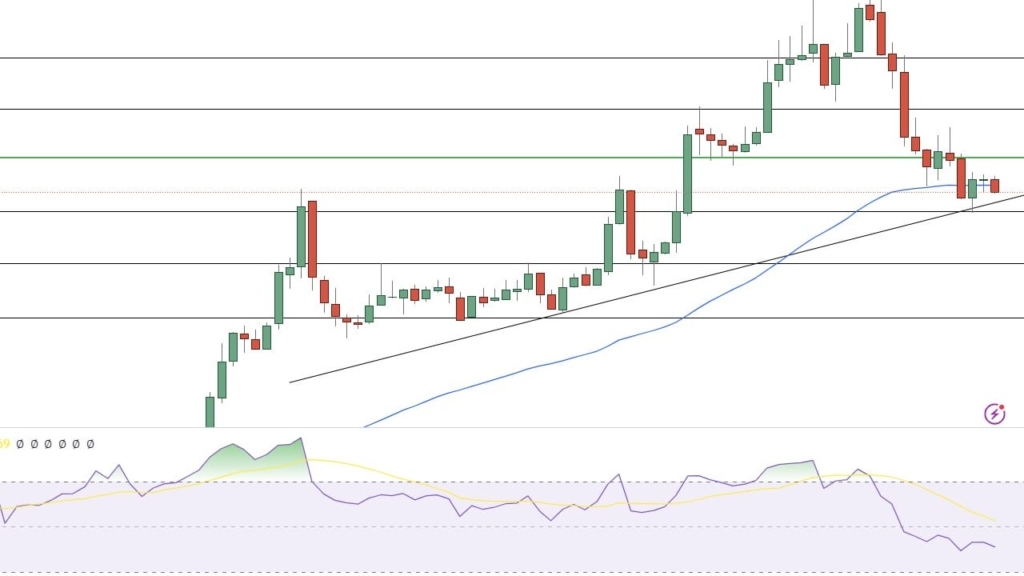 XRP Davası ve 2.1 Dolar Hedefi: Sonuçlar ve Beklentiler