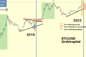 Bitcoin Döngüsü Zirvesinden Uzak: Uzman Görüşü