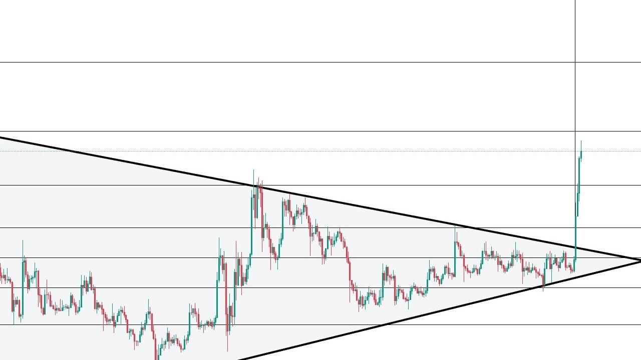 XRP Fiyatında 7 Yıl Sonra Büyük Sıçrama Bekleniyor