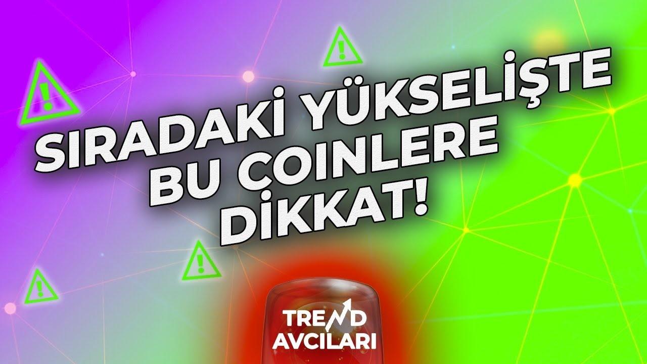 Altcoinler İçin Boğa Piyasası Tahmini: 2024'te Büyük Yükseliş Bekleniyor