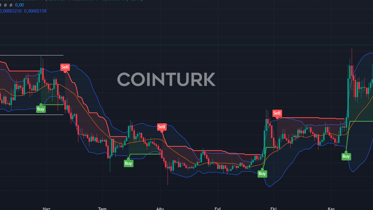 Shiba Inu 3 Milyar Token Yaktı: SHIB Fiyatı Uçacak Mı?