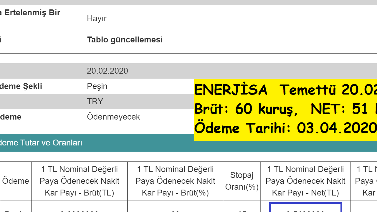 Enerjisa Temettü Geçmişi: 7 Yıllık Ödemeler