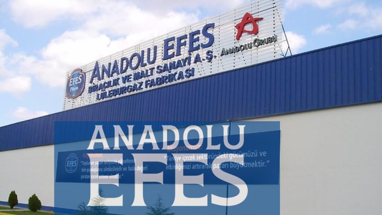 AEFES Temettü Geçmişi: Son 21 Yılda Tek Atladı!