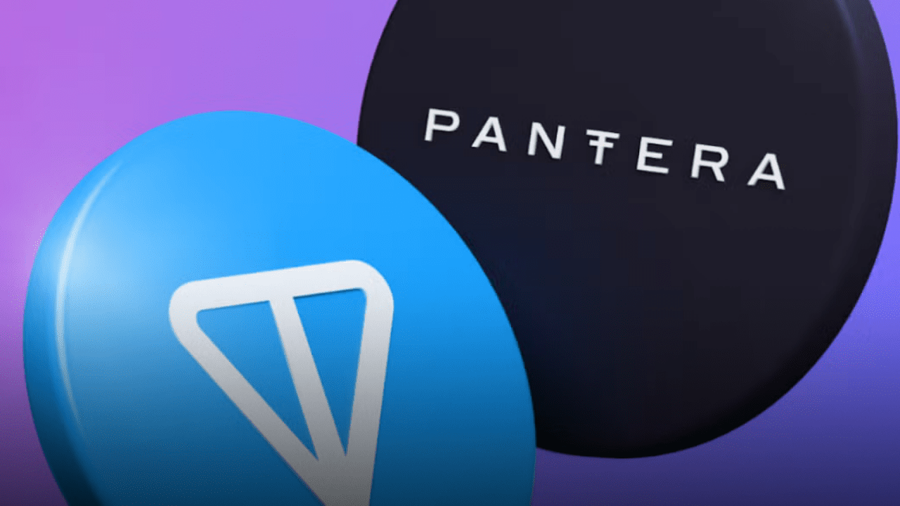 Pantera Capital: Kripto Yatırım Stratejisi ve 2024 Tahminleri