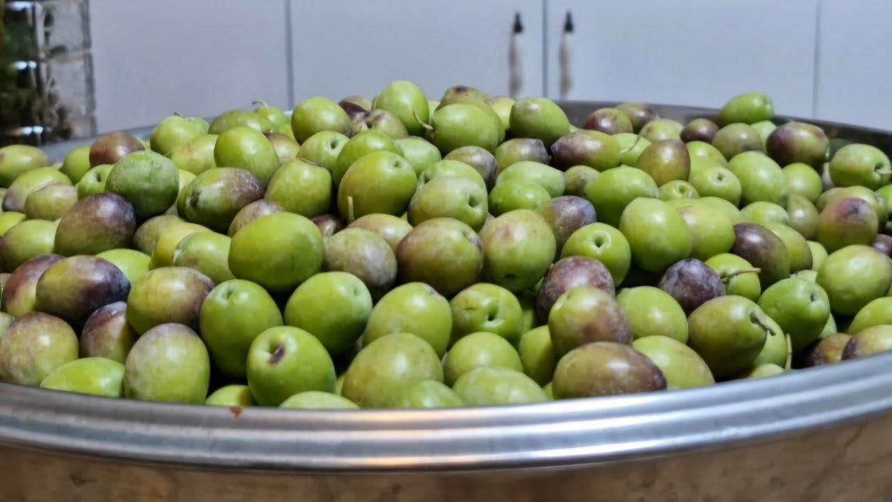 Zeytin Üreticisine Müjde: Fiyatlar Yükseliyor