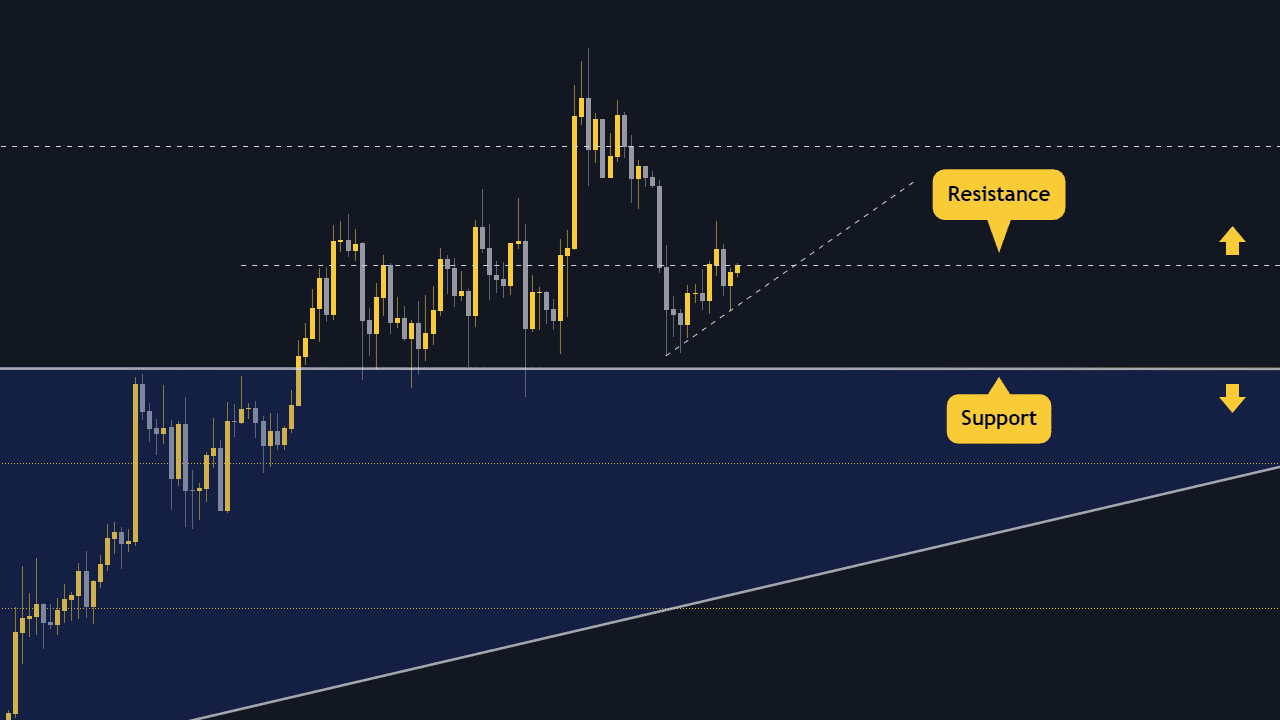 5 Kripto Para İçin Fiyat Analizi (24-27 Ocak)