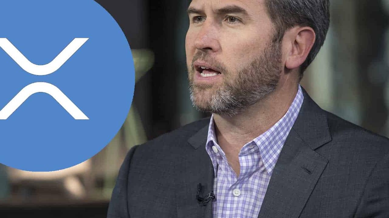 Ripple CEO'su: XRP, ABD Rezervine Girebilir