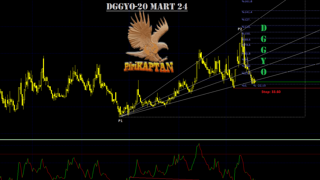 DGGYO 2024 Kiralama Gelirleri 14.8 Milyon TL