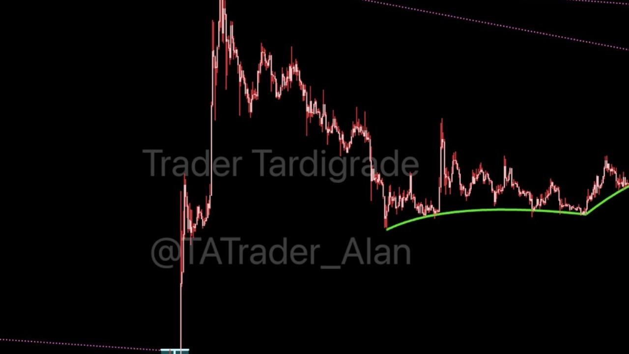 Dogecoin Balinaları 140 Milyon DOGE Aldı: Fiyat Hedefi Ne?