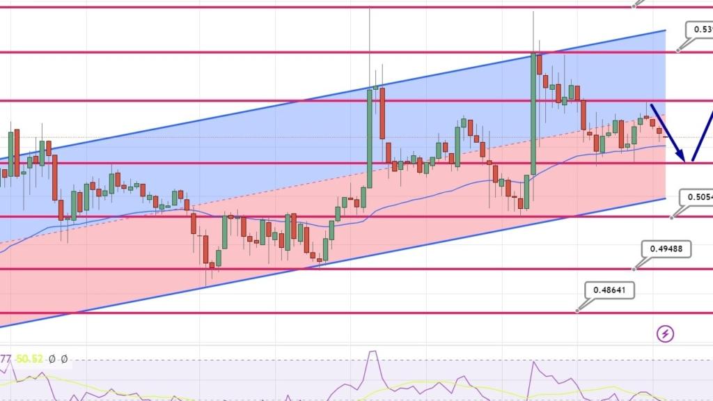 XRP Fiyatı 500 Milyar Doları Aşabilir mi? Uzman Görüşü