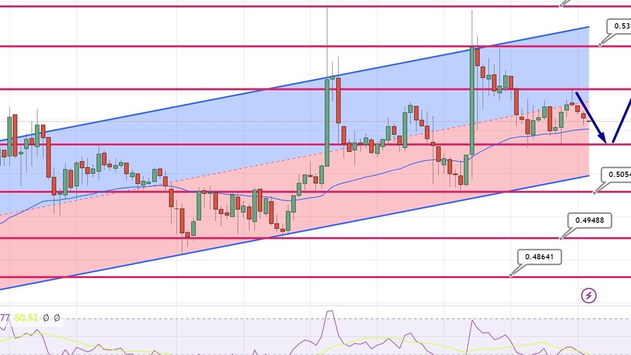 XRP Fiyatı 500 Milyar Doları Aşabilir mi? Uzman Görüşü